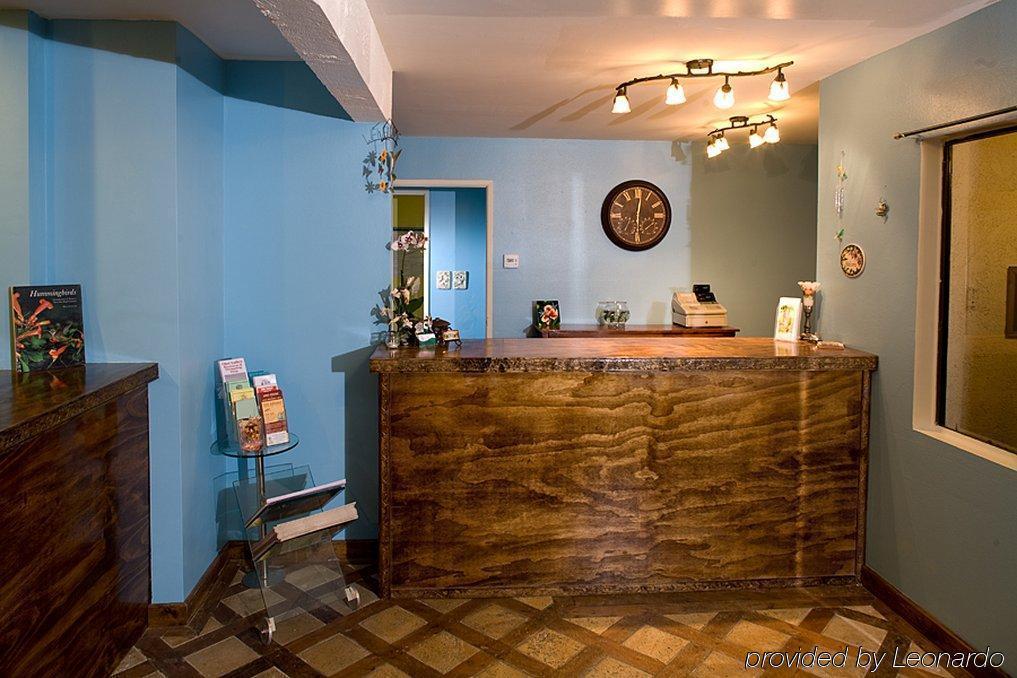 Hummingbird Inn Ojai ภายใน รูปภาพ